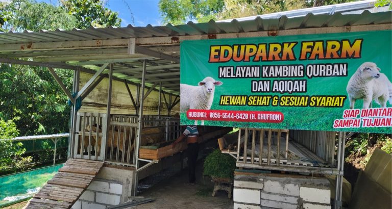 Edupark Farm Layani Kambing Kurban dan Aqiqah, Siap Diantar Sampai Tujuan