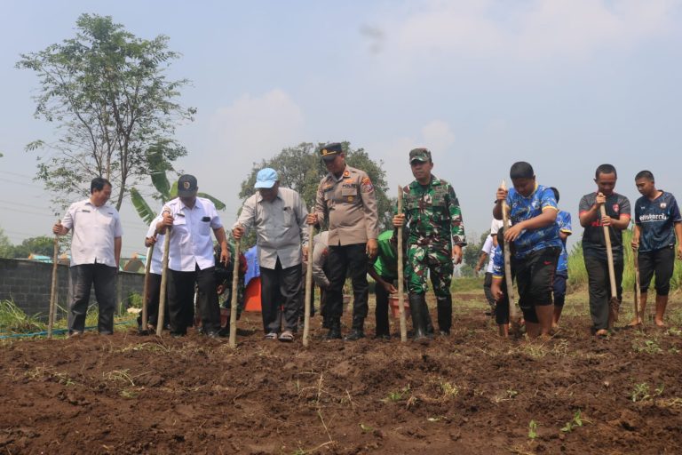 Sinergi Hebat Polri dan Santri Ponpes eLKISI: Tanam Jagung Serentak Demi Ketahanan Pangan Nasional