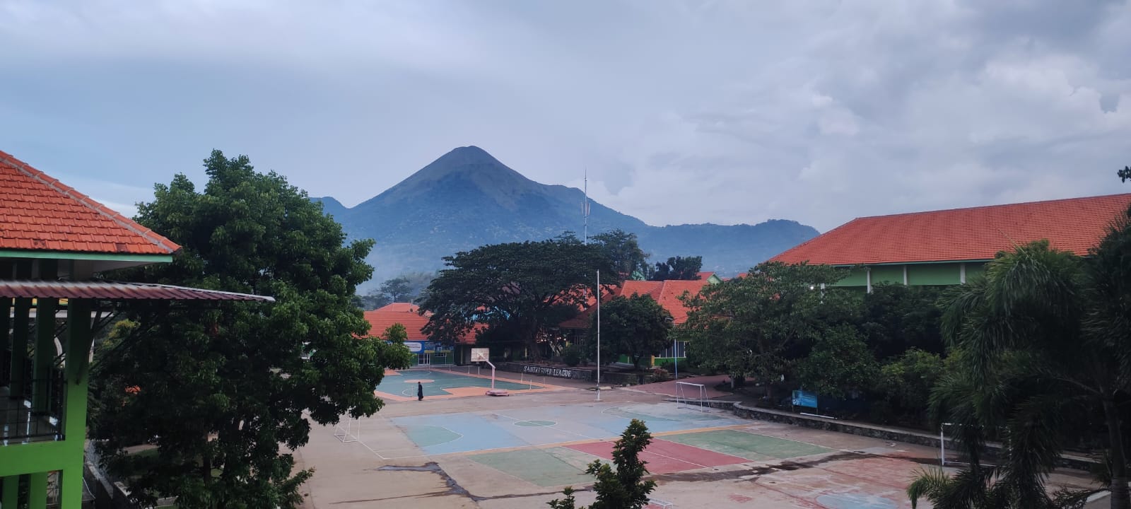 view elkisi