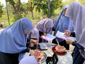 Santri SMP eLKISI mengamati organ tubuh ayam pada kegiatan pembelajaran terintegrasi di Edupark