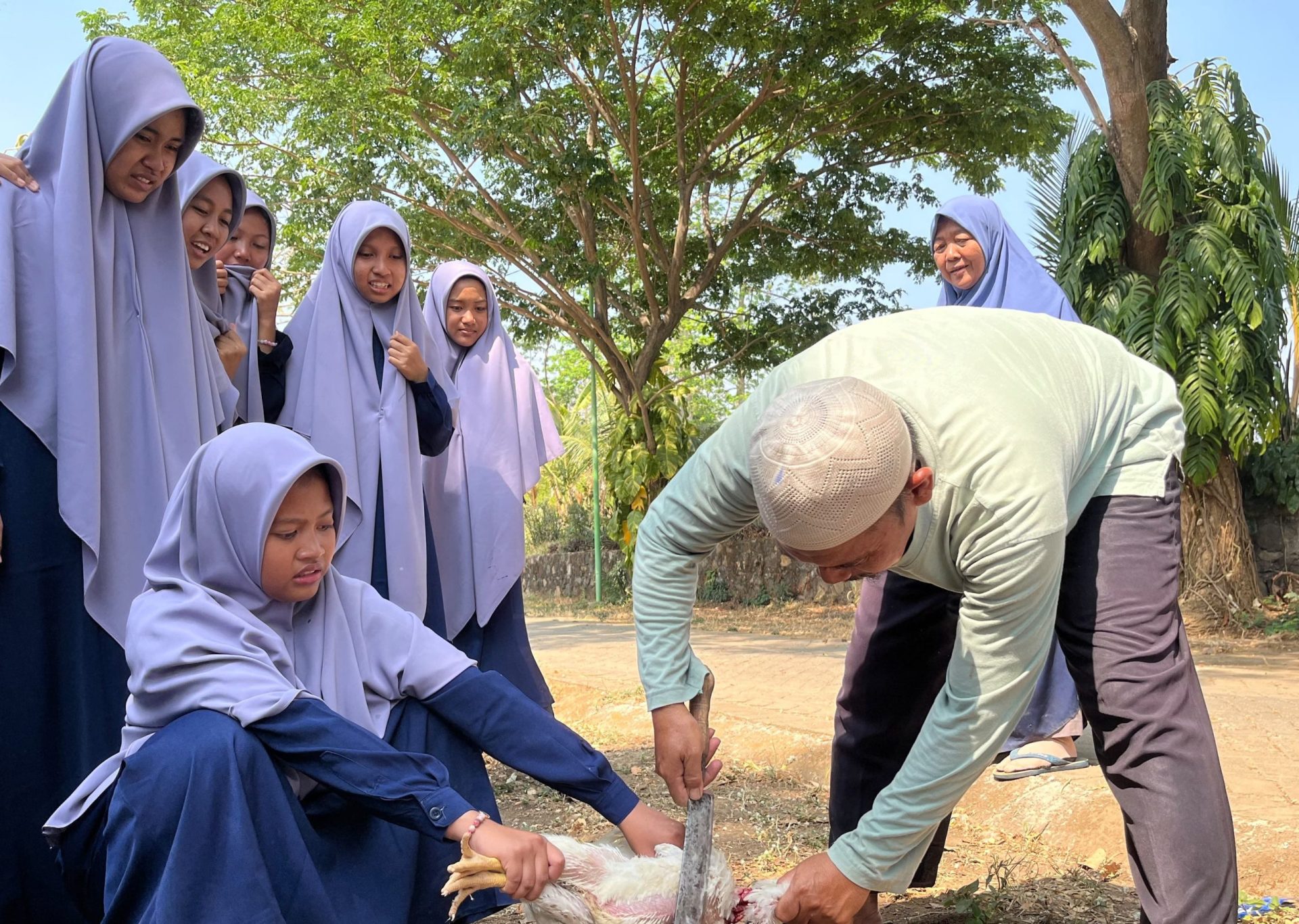 Praktik penyembelihan ayam sesuai syariat Islam oleh santri SMP eLKISI